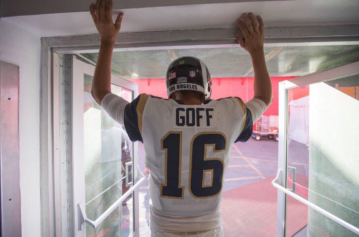 2017 NFL Season Preview—NFC West: Which Birds Will Rise? Will It Be The Cardinals Or The Seahawks?