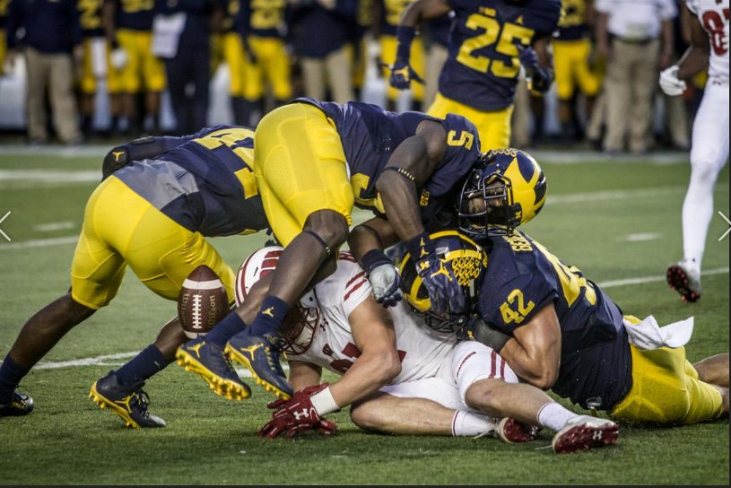 Michigan-Wisconsin Preview: Please, Michigan. Do Us All A Favor And Win!