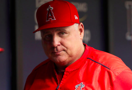 Mike Scioscia To Reportedly Leave Angels After Season