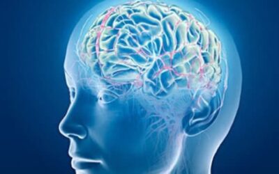How Can I Bet Smarter in Sports?