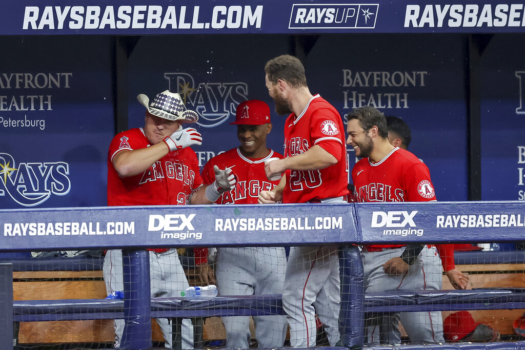 Yankees vs. Angels Prediction, Computer Picks, Odds & Pitching Matchup 8/29/2022